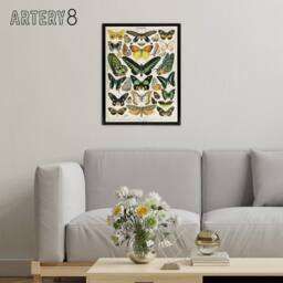 "Artery8 Millot Encyclopedia Page Butterflies Framed Canvas Wall Art Print - Size: W12"" x H16""" - thumbnail 3