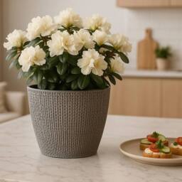 VOGREX 4 Grey Knitted Planter with Tray Indoor - thumbnail 5