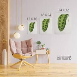 "Artery8 AF Lydon Benjamin Fawcett Maranta Pardina Leaf Canvas Wall Art Print in White - Size: W12"" x H16""" - thumbnail 4