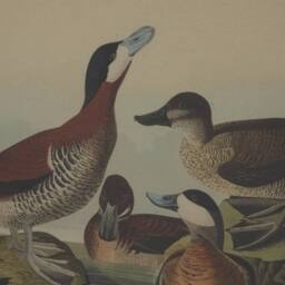 Sostter Beaded Duck Linen Wall Art in Brown - thumbnail 2