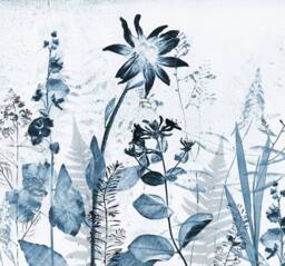 Superfresco Easy Flower Press Blue Print To Order 3m x 2.8m Mural - thumbnail 2