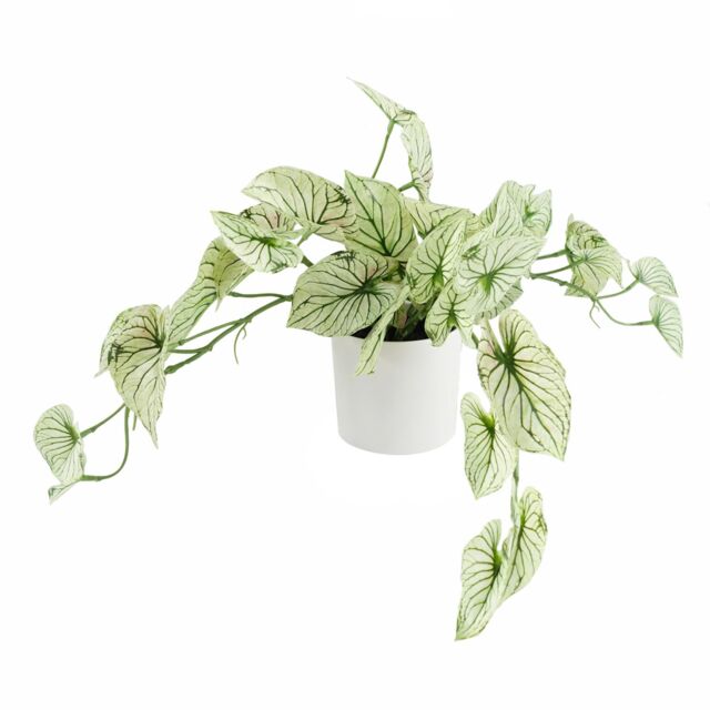 Leaf 30cm Artificial Trailing Plant Variegated Potted Alocasia in Green - image 1