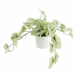 Leaf 30cm Artificial Trailing Plant Variegated Potted Alocasia in Green