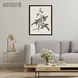 "Artery8 Vintage Botanical Minima Ivy Shirley Hibberd Black Framed Canvas Art in White - Size: W12"" x H16""" - thumbnail 3