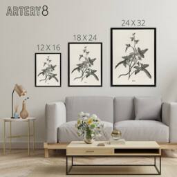 "Artery8 Vintage Botanical Minima Ivy Shirley Hibberd Black Framed Canvas Art in White - Size: W12"" x H16""" - thumbnail 4