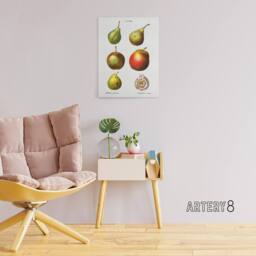 "Artery8 Pear Varieties Illustration Redoute Vintage Canvas Wall Art in White - Size: W18"" x H24""" - thumbnail 3