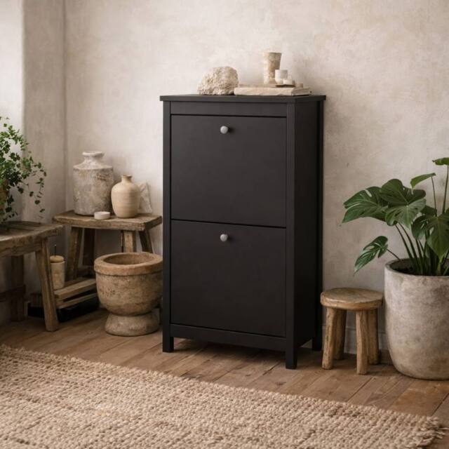 Wyld Haus Gossmere Matt Black 2 Door Shoe Cabinet - image 1