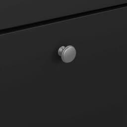 Wyld Haus Gossmere Matt Black 2 Door Shoe Cabinet - thumbnail 7