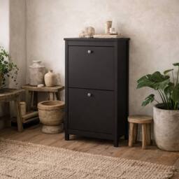 Wyld Haus Gossmere Matt Black 2 Door Shoe Cabinet