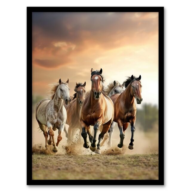 "Artery8 Wild Horses Galloping Open Field Sunset Clouds Framed Art Print in Brown - Size: W12"" x H16""" - image 1