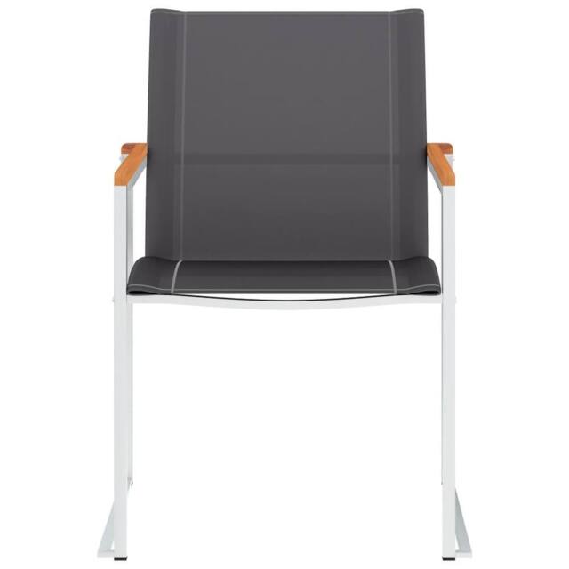 Berkfield Home Classic Garden Chairs 2 pcs Textilene & Stainless Steel Grey - image 1
