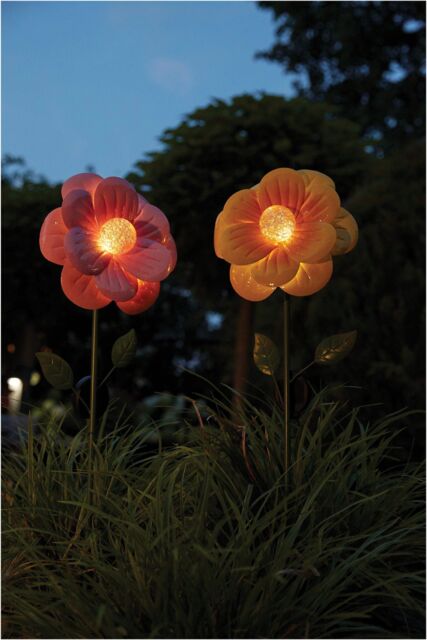 Luxform Anemone Flower Solar Light in Pink - image 1