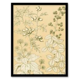 Artery8 Owen Jones Framed Wall Art Wild Rose Ivy Blackberry Vintage Botanical in Beige - Size: A4 - thumbnail 1