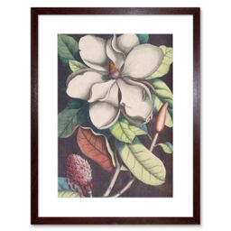 "Artery8 Wall Art Print Flower Magnolia Botany Art Framed 9x7 inch in Brown - Size: W7"" x H9""" - thumbnail 1