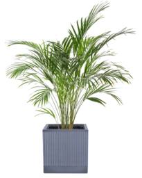Dibor Large Slate Grey Ribbed Finish Fibre Clay Indoor Outdoor Garden Plant Pots Houseplant Flower Planter H37 x W37cm - thumbnail 2