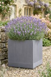 Dibor Large Slate Grey Ribbed Finish Fibre Clay Indoor Outdoor Garden Plant Pots Houseplant Flower Planter H37 x W37cm - thumbnail 1