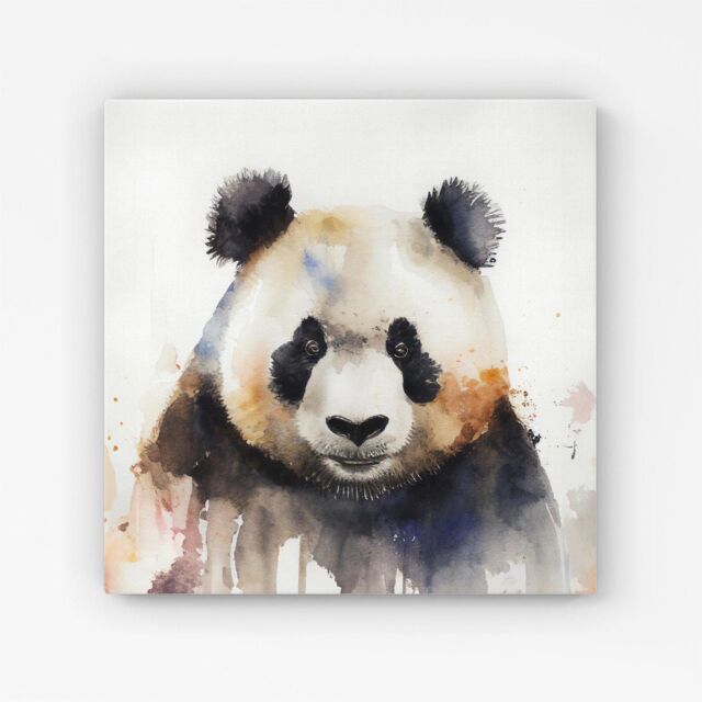 "Warren Reed - Designer Panda Watercolour Canvas in Brown - Size: W30"" x H30""" - image 1