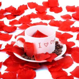 Shatchi 500pcs Red Silk Rose Petals Wedding Mothers Day Wedding Valentine Days Confetti Table Decorations - thumbnail 5