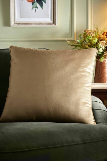 Appletree 'Harlan' Velvet Filled Cushion in Taupe - Size: 55 cm x 55 cm - image 1