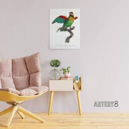 "Artery8 The Orange Cheeked Parrot Levaillant Canvas Wall Art Print in White - Size: W12"" x H16""" - thumbnail 3
