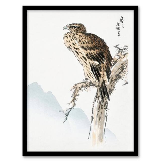 Artery8 Numata Kashu Framed Wall Art Print Black Eared Kite Bird Japan - Size: A4 - image 1