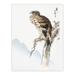 Artery8 Numata Kashu Framed Wall Art Print Black Eared Kite Bird Japan - Size: A4 - thumbnail 3