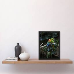 Artery8 Carol M Highsmith Colourful Sleeping Parrots Photo Framed Art Print - Size: A4 - thumbnail 2
