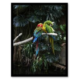 Artery8 Carol M Highsmith Colourful Sleeping Parrots Photo Framed Art Print - Size: A4 - thumbnail 1