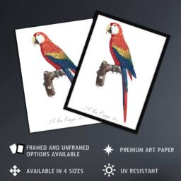 Artery8 Scarlet Macaw Parrot Francois Levaillant Framed Wall Art Print in White - Size: A4 - thumbnail 2