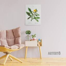 "Artery8 Sow Thistle Flower Bloom Redoute Vintage Canvas Wall Art in White - Size: W18"" x H24""" - thumbnail 3
