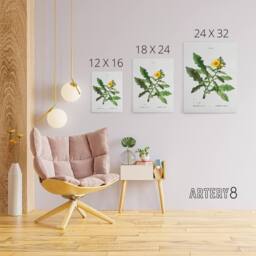 "Artery8 Sow Thistle Flower Bloom Redoute Vintage Canvas Wall Art in White - Size: W18"" x H24""" - thumbnail 4
