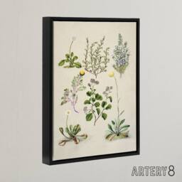 "Artery8 Native New Zealand Wildflowers Artwork Featon Framed Canvas Wall Art in Beige - Size: W18"" x H24""" - thumbnail 2
