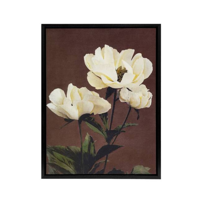 "Artery8 White Herbaceous Peony Flowers Framed Canvas Wall Art Print Kazumasa in Red - Size: W12"" x H16""" - image 1