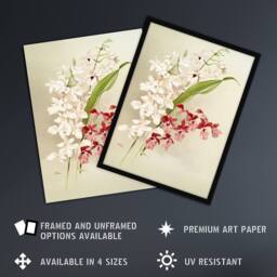 Artery8 Frederick Sander White Pink Hybrid Orchid Flowers Framed Art Print - Size: A4 - thumbnail 2