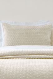Bianca 'Attica Velvet' Embroidered Pillow sham Pair in Natural - Size: Standard Pillow Case - thumbnail 1