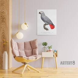 "Artery8 Psittacus Erithacus Grey Parrot Levaillant Canvas Wall Art Print in White - Size: W12"" x H16""" - thumbnail 3