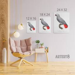 "Artery8 Psittacus Erithacus Grey Parrot Levaillant Canvas Wall Art Print in White - Size: W12"" x H16""" - thumbnail 4