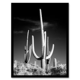 "Artery8 Saguaro Cactus Arizona Carol M Highsmith Framed Wall Art Print in Grey - Size: W12"" x H16""" - thumbnail 1