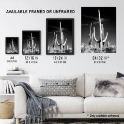 "Artery8 Saguaro Cactus Arizona Carol M Highsmith Framed Wall Art Print in Grey - Size: W12"" x H16""" - thumbnail 3
