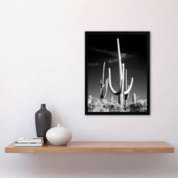 "Artery8 Saguaro Cactus Arizona Carol M Highsmith Framed Wall Art Print in Grey - Size: W12"" x H16""" - thumbnail 4