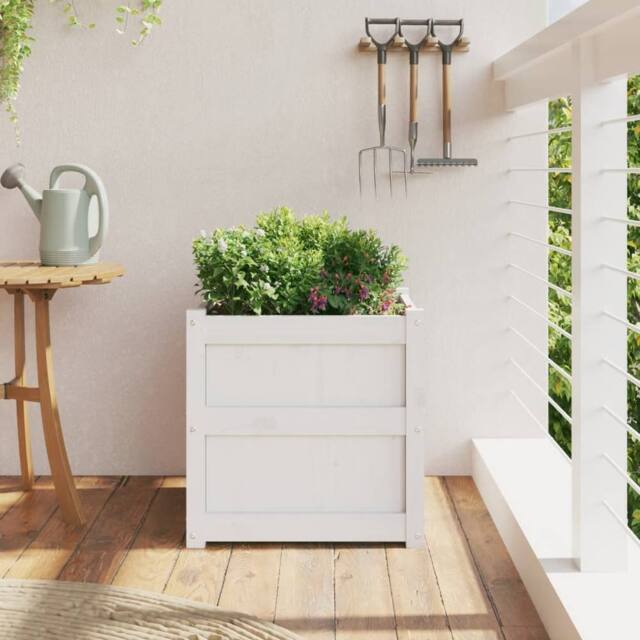 Berkfield Home Beautiful Garden Planter White 50x50x50 cm Solid Wood Pine - Size: 50 x 50 x 50 cm - image 1