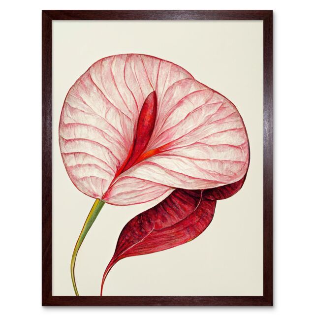 "Artery8 Wall Art Print Single Red Laceleaf Flower Anthurium Art Framed in Brown - Size: W12"" x H16""" - image 1