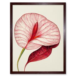 "Artery8 Wall Art Print Single Red Laceleaf Flower Anthurium Art Framed in Brown - Size: W12"" x H16""" - thumbnail 1