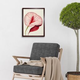 "Artery8 Wall Art Print Single Red Laceleaf Flower Anthurium Art Framed in Brown - Size: W12"" x H16""" - thumbnail 2