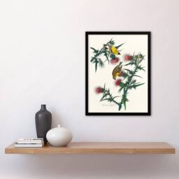 Artery8 John James Audubon Framed Wall Art American Goldfinch & Thistle in White - Size: A4 - thumbnail 2