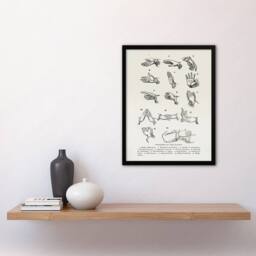 Artery8 Positions of Hand Gestures Richardson Vintage Framed Wall Art Print in White - Size: A4 - thumbnail 4