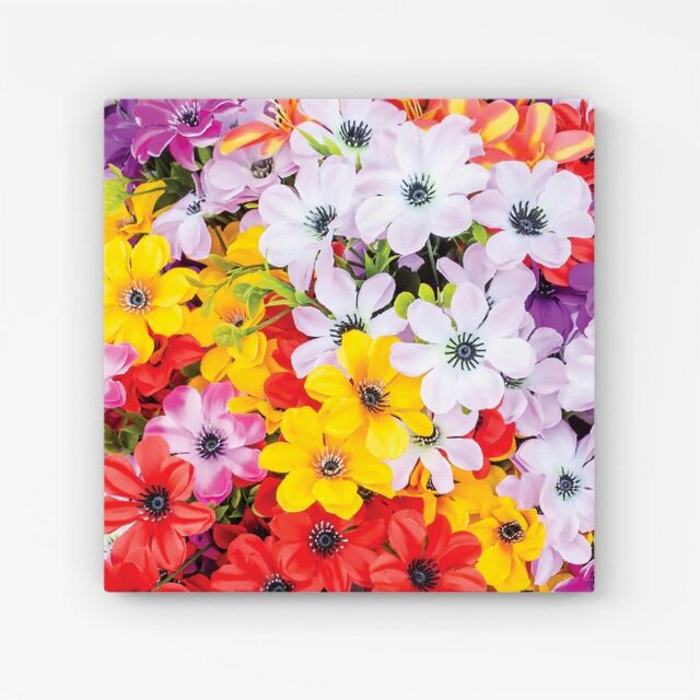 Warren Reed - Designer Spring Flowers Canvas in Yellow - Size: w40 inch x h40 inch - image 1