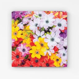 Warren Reed - Designer Spring Flowers Canvas in Yellow - Size: w40 inch x h40 inch - thumbnail 1