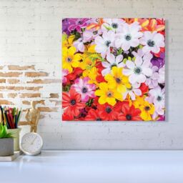 Warren Reed - Designer Spring Flowers Canvas in Yellow - Size: w40 inch x h40 inch - thumbnail 2