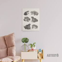 "Artery8 Six Frogs & Toads Pencil Drawing Canvas Wall Art Print Hoytema in White - Size: W18"" x H24""" - thumbnail 3